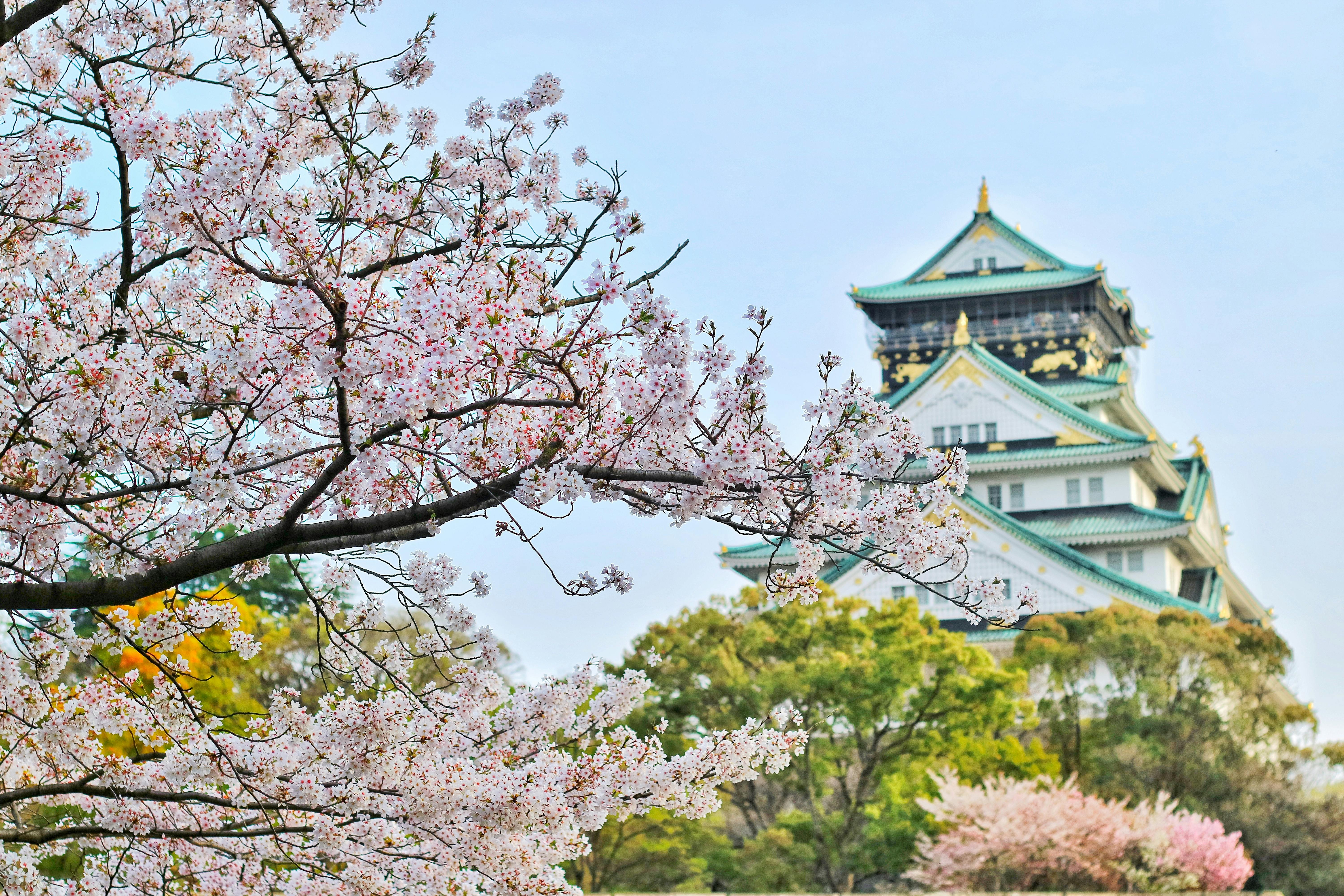 Japan 2